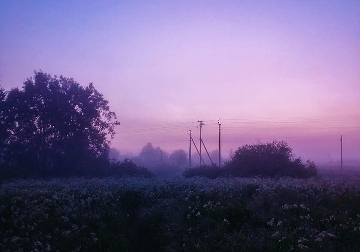 世界杯app下载-KT击败T1赛后，上单PerfecT面对镜头庆祝胜利